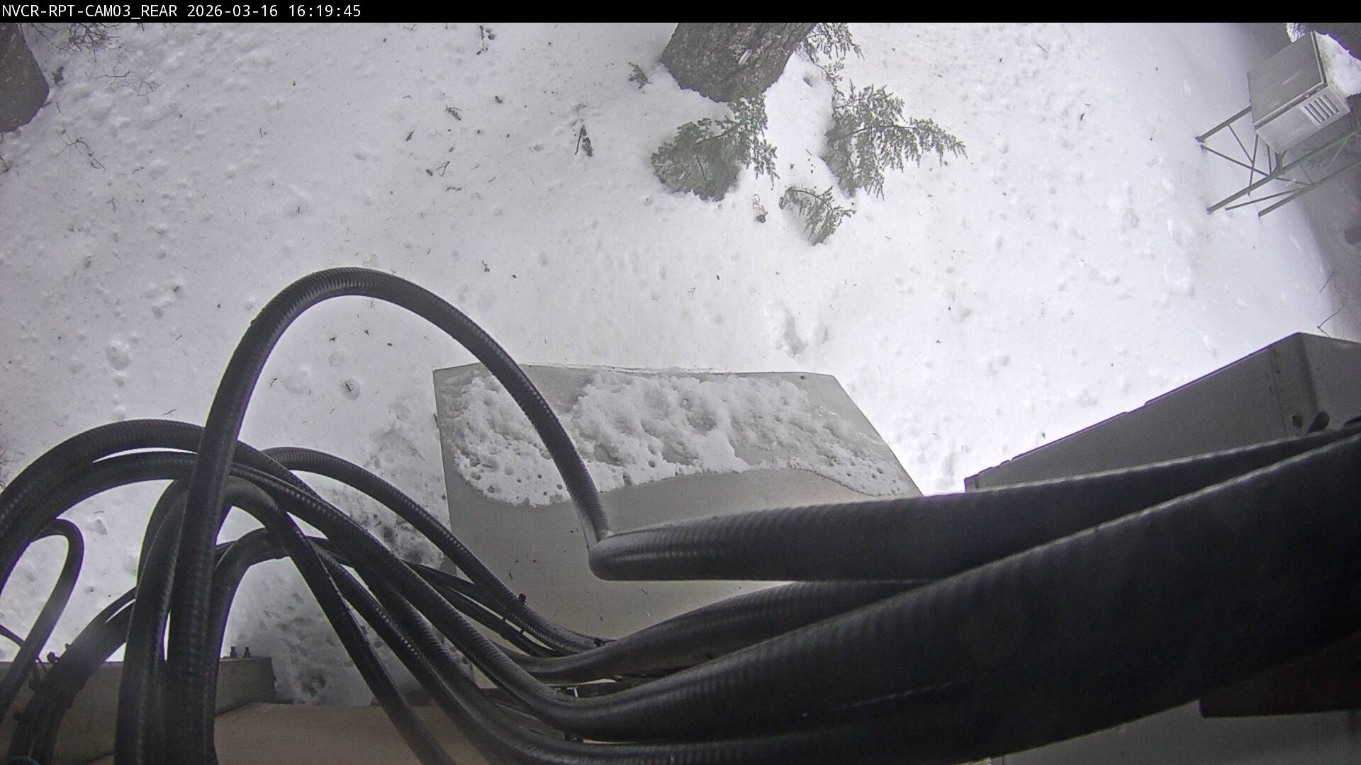 Web Cam History Image - 281