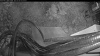 Web Cam Image - Sat, 05/09/2026 4:34am PDT