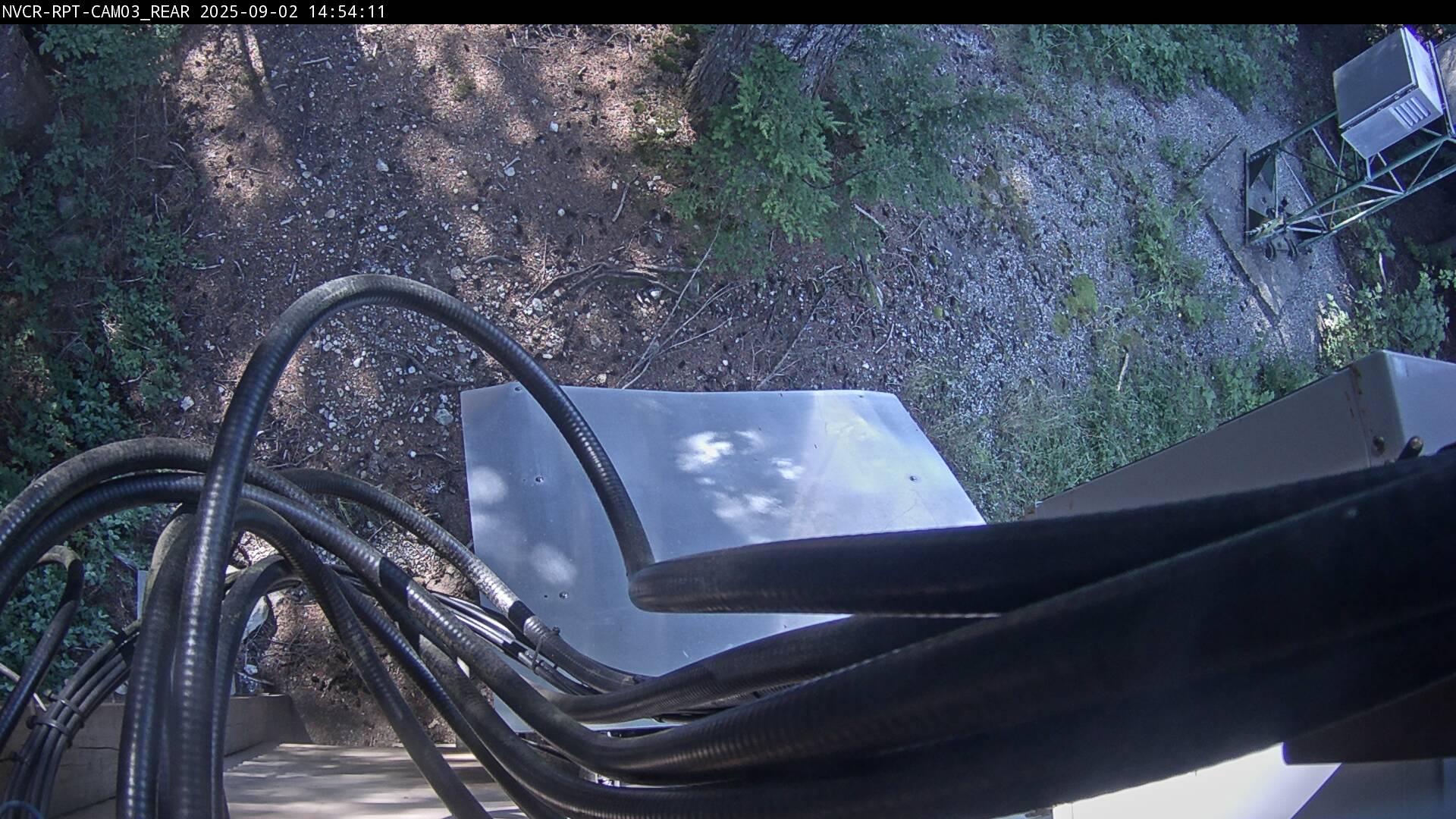 Web Cam History Image - 286