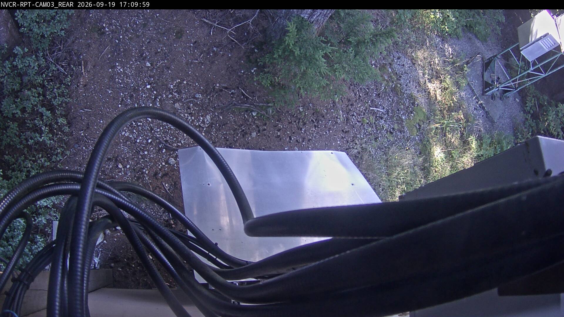 Web Cam History Image - 288