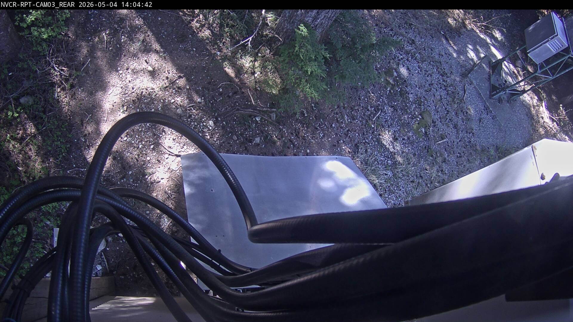 Web Cam History Image - 290