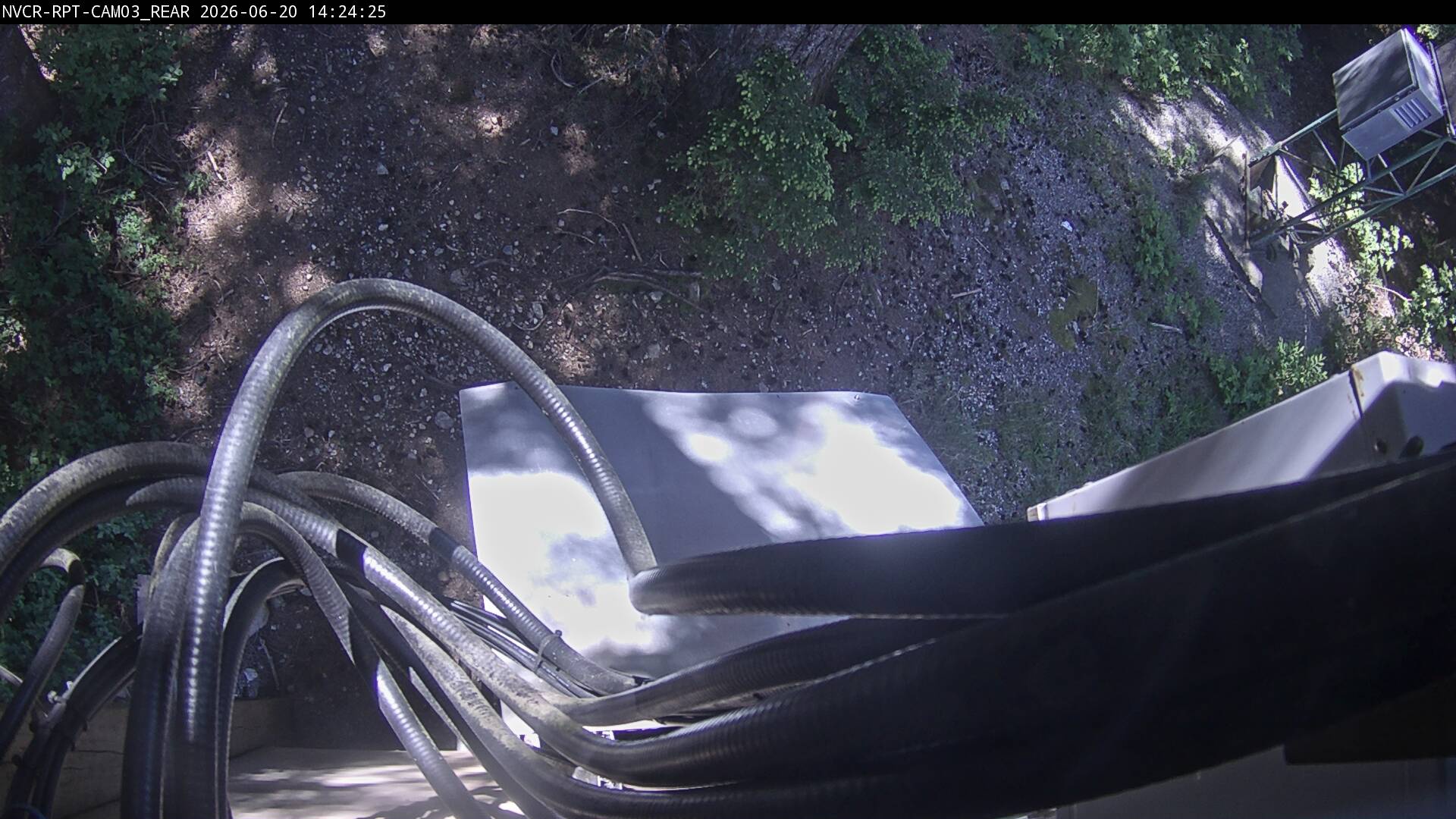 Web Cam History Image - 290