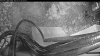 Web Cam Image - Wed, 05/13/2026 4:44am PDT