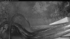 Web Cam Image - Tue, 08/04/2026 4:34am PDT