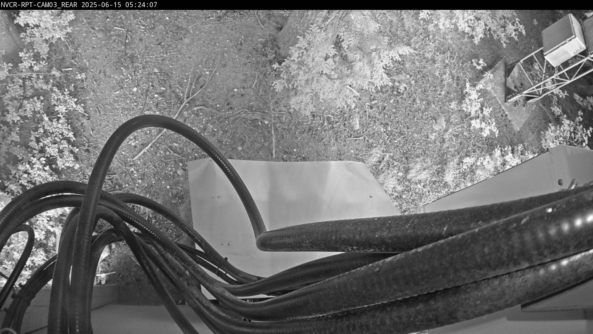 Web Cam History Image - 291