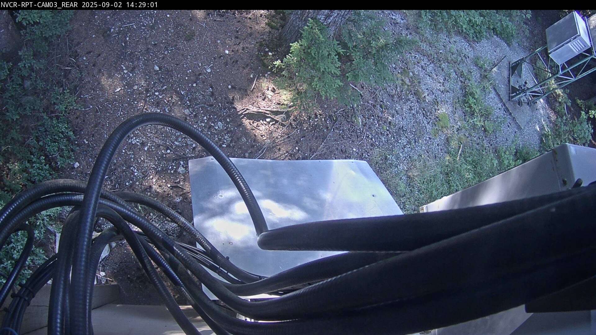 Web Cam History Image - 291