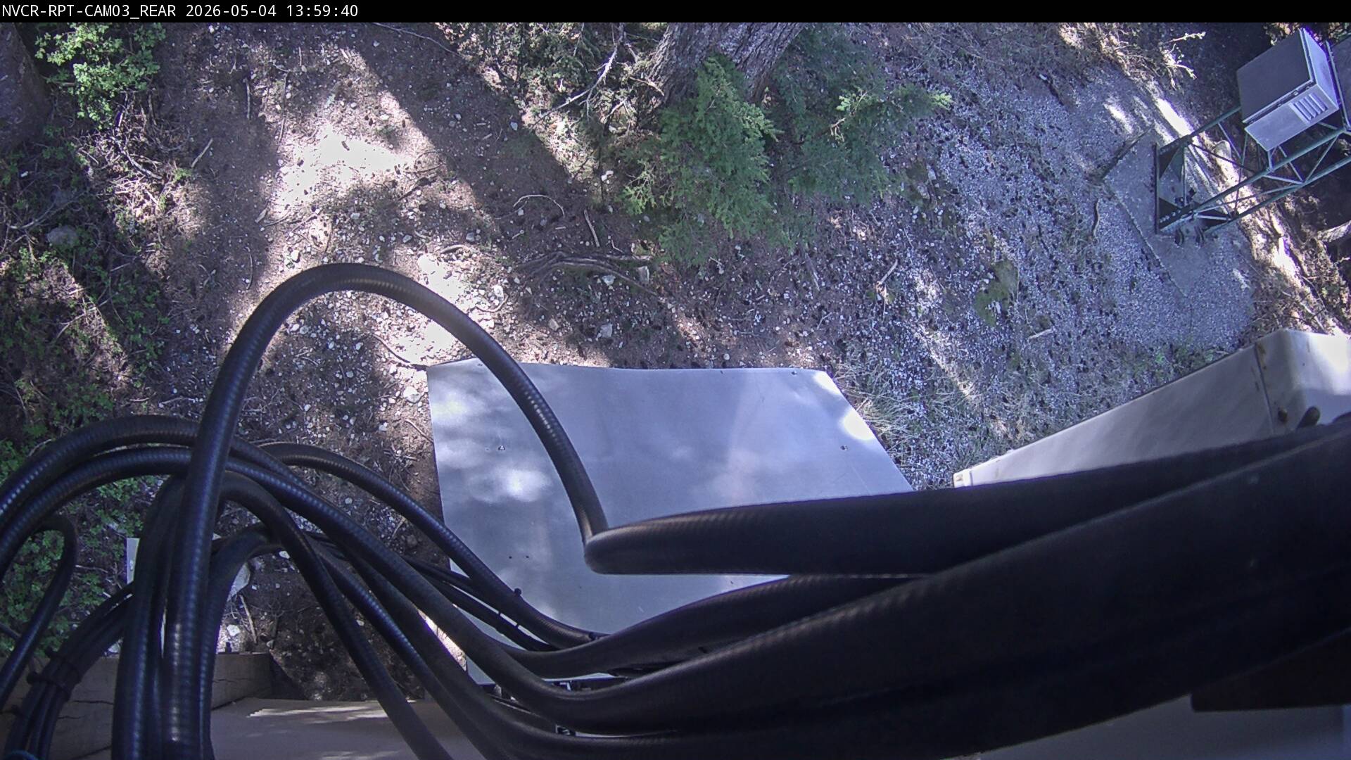 Web Cam History Image - 291