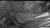 Web Cam Image - Thu, 06/11/2026 2:49am PDT