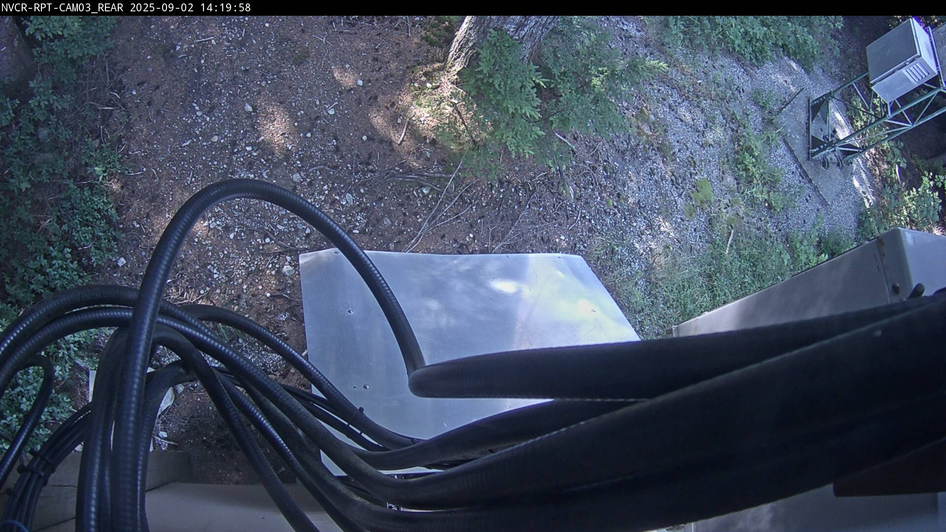 Web Cam History Image - 293