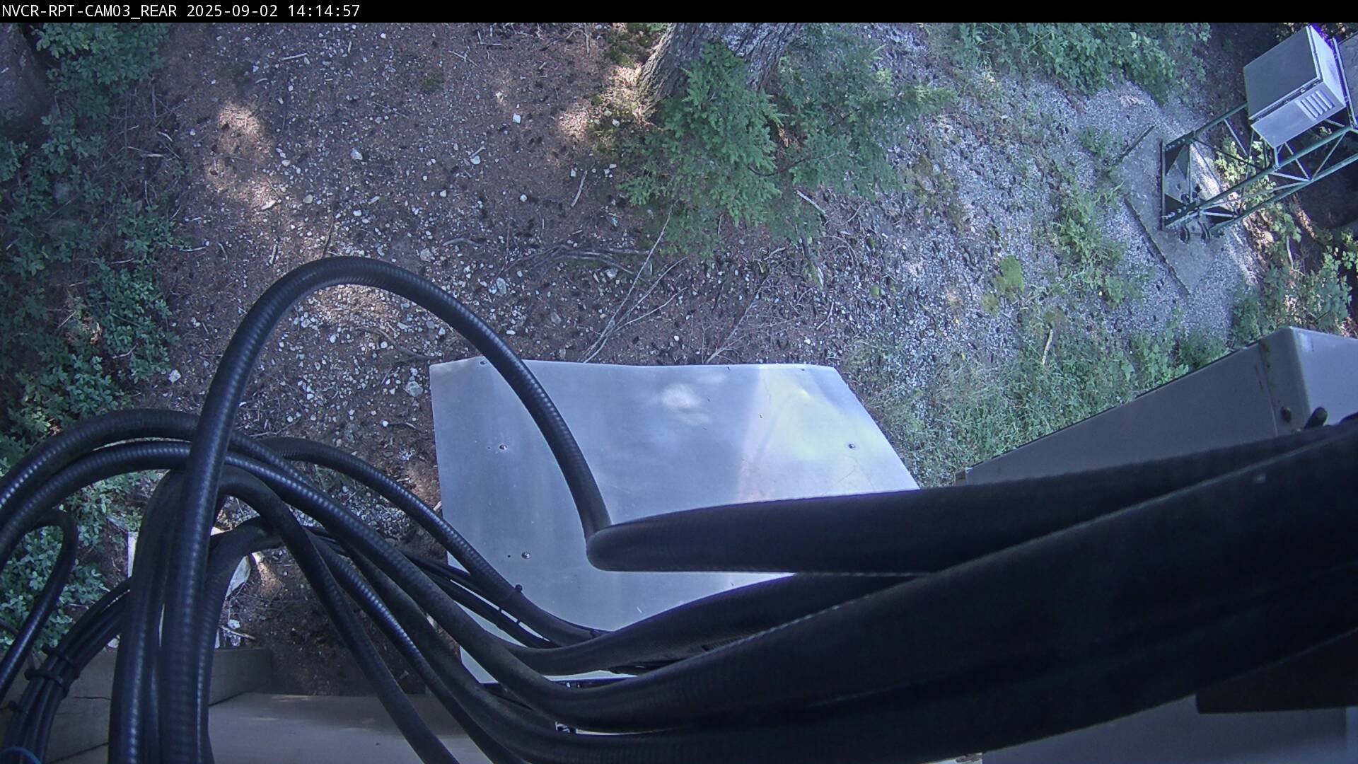 Web Cam History Image - 294