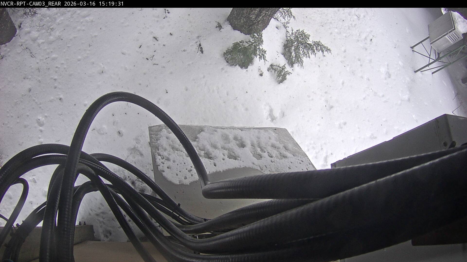 Web Cam History Image - 294