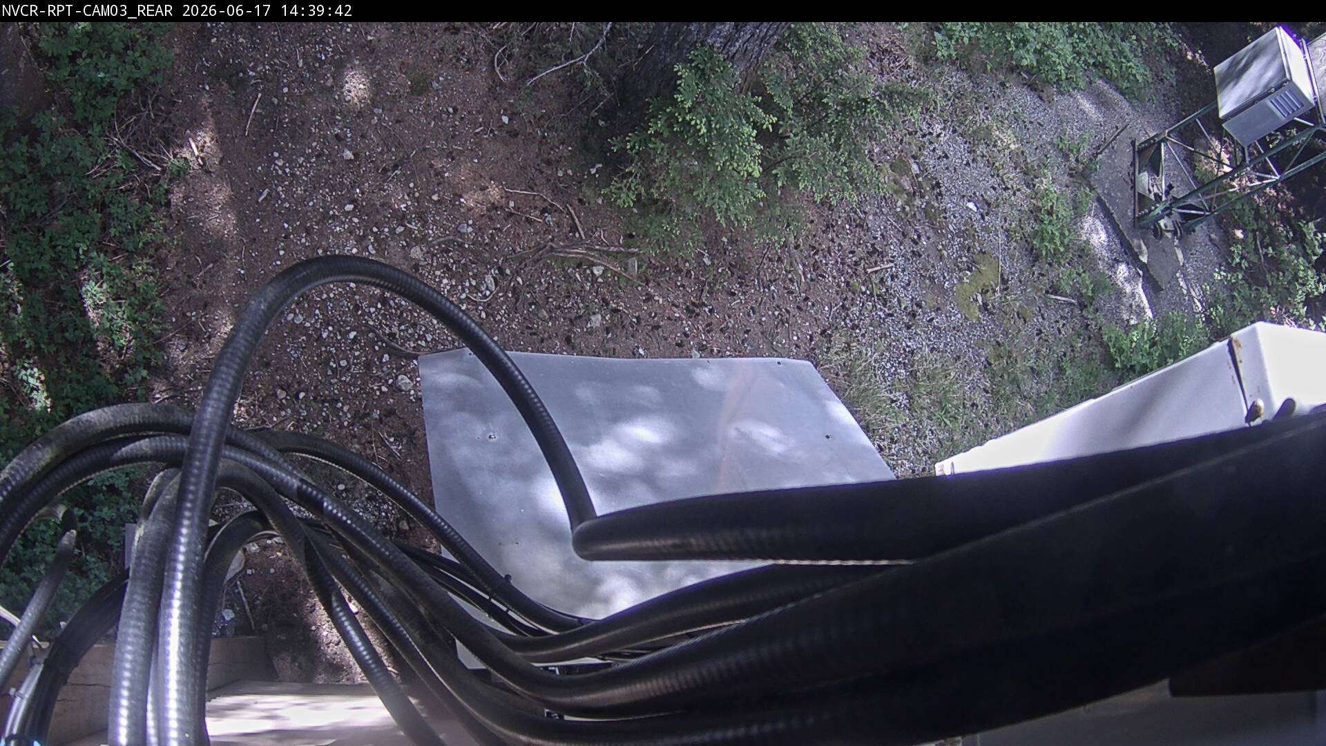Web Cam History Image - 294