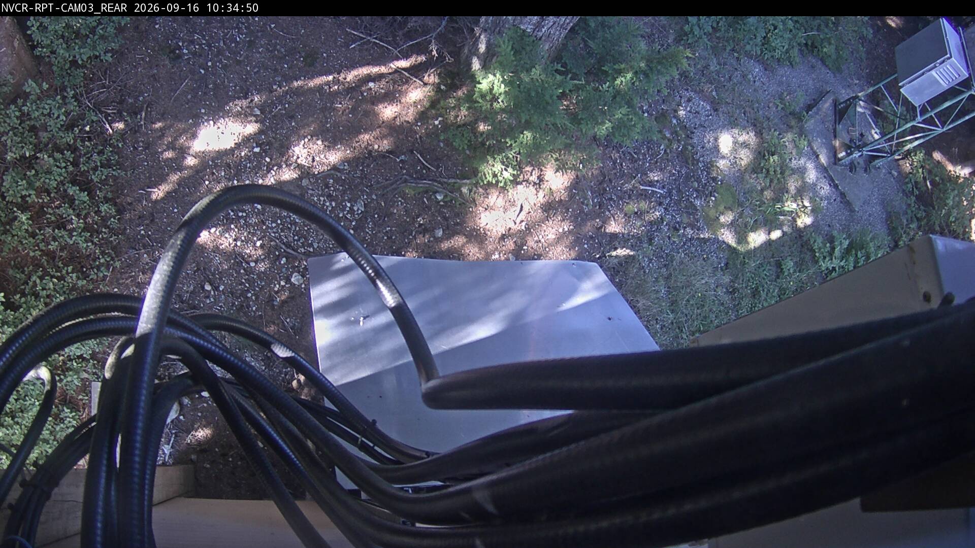 Web Cam History Image - 294