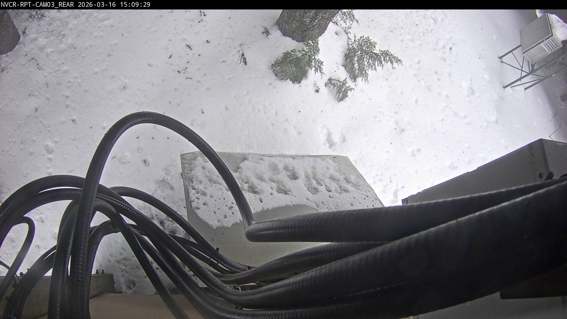 Web Cam History Image - 295