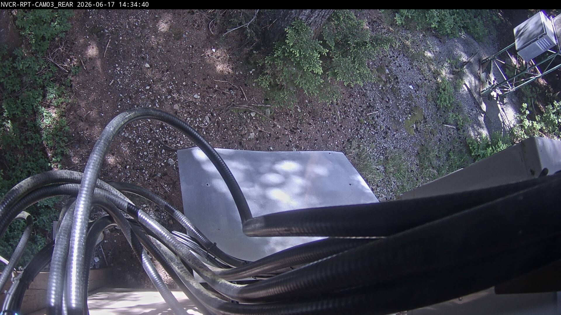 Web Cam History Image - 295