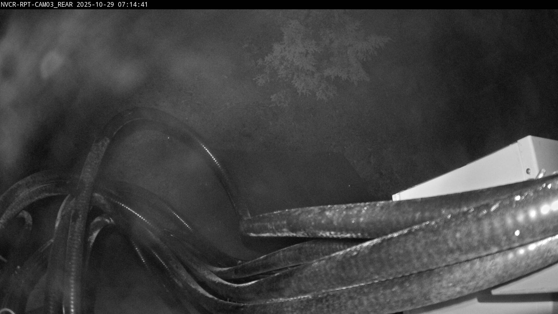 Web Cam History Image - 296