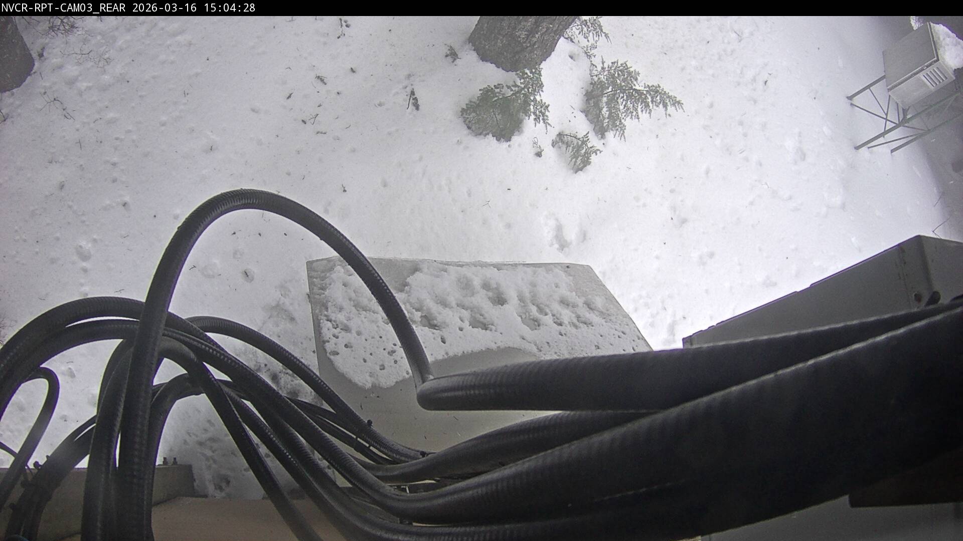 Web Cam History Image - 297