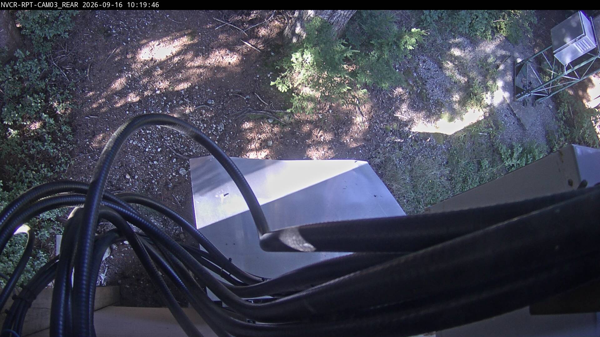 Web Cam History Image - 297