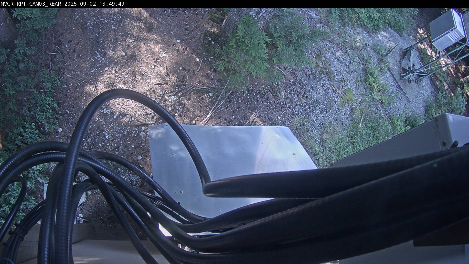 Web Cam History Image - 298