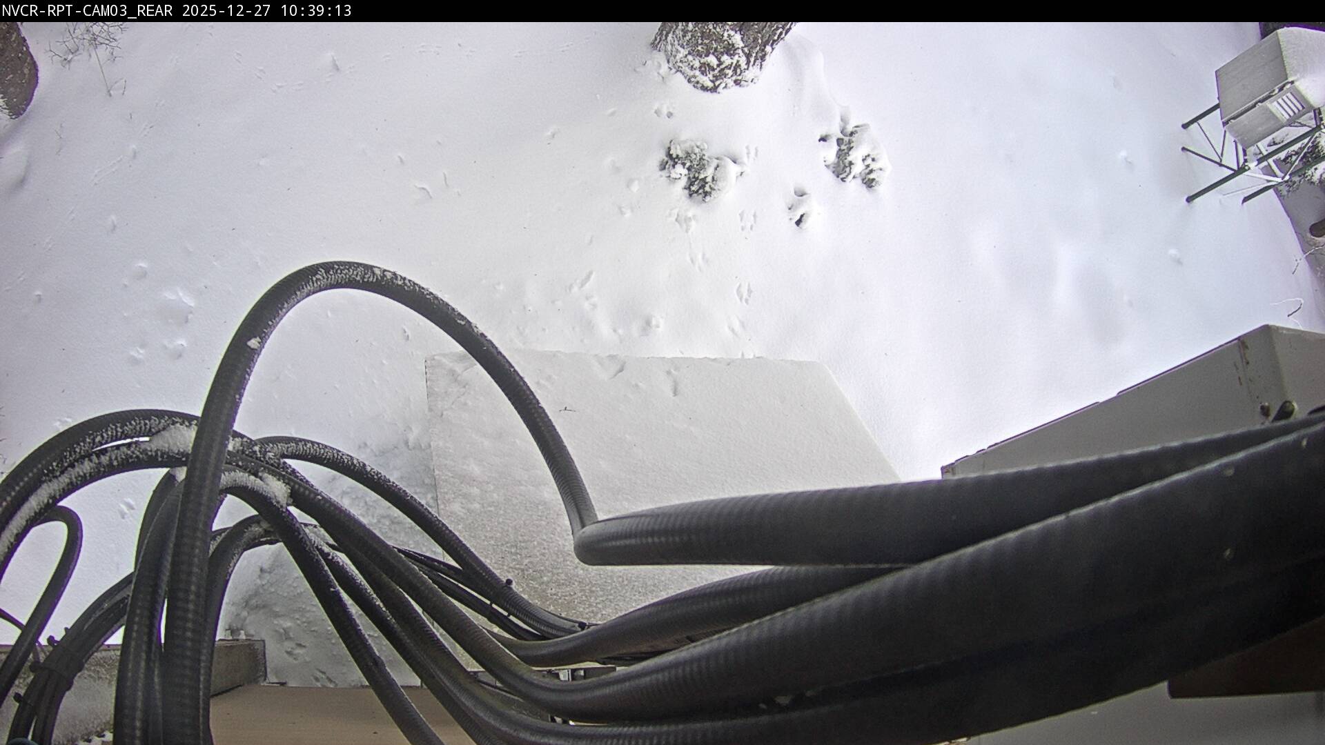 Web Cam History Image - 298