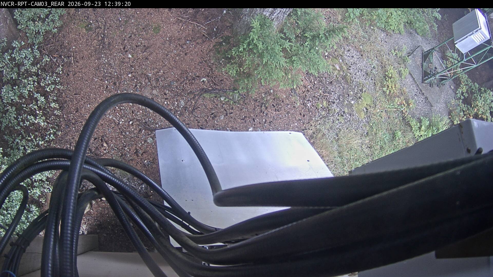 Web Cam History Image - 298