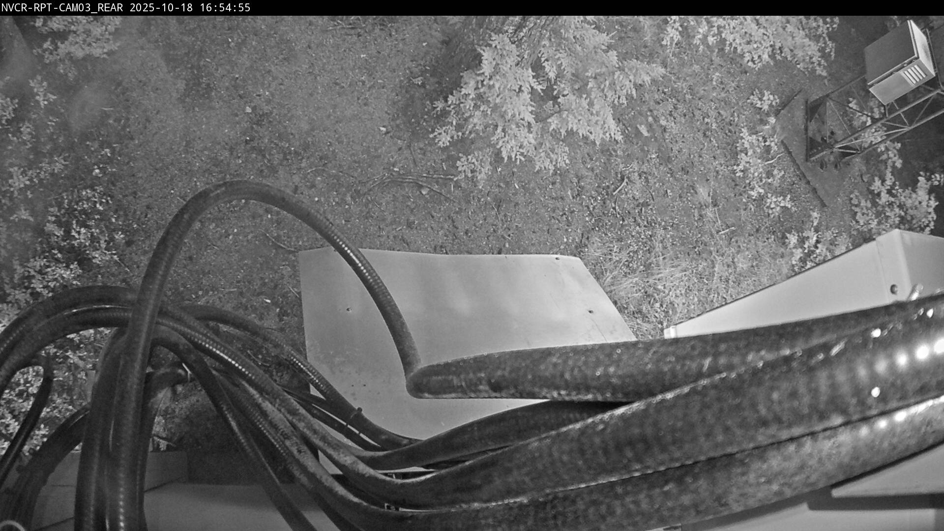 Web Cam History Image - 299