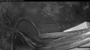 Web Cam Image - Sat, 05/16/2026 4:09am PDT