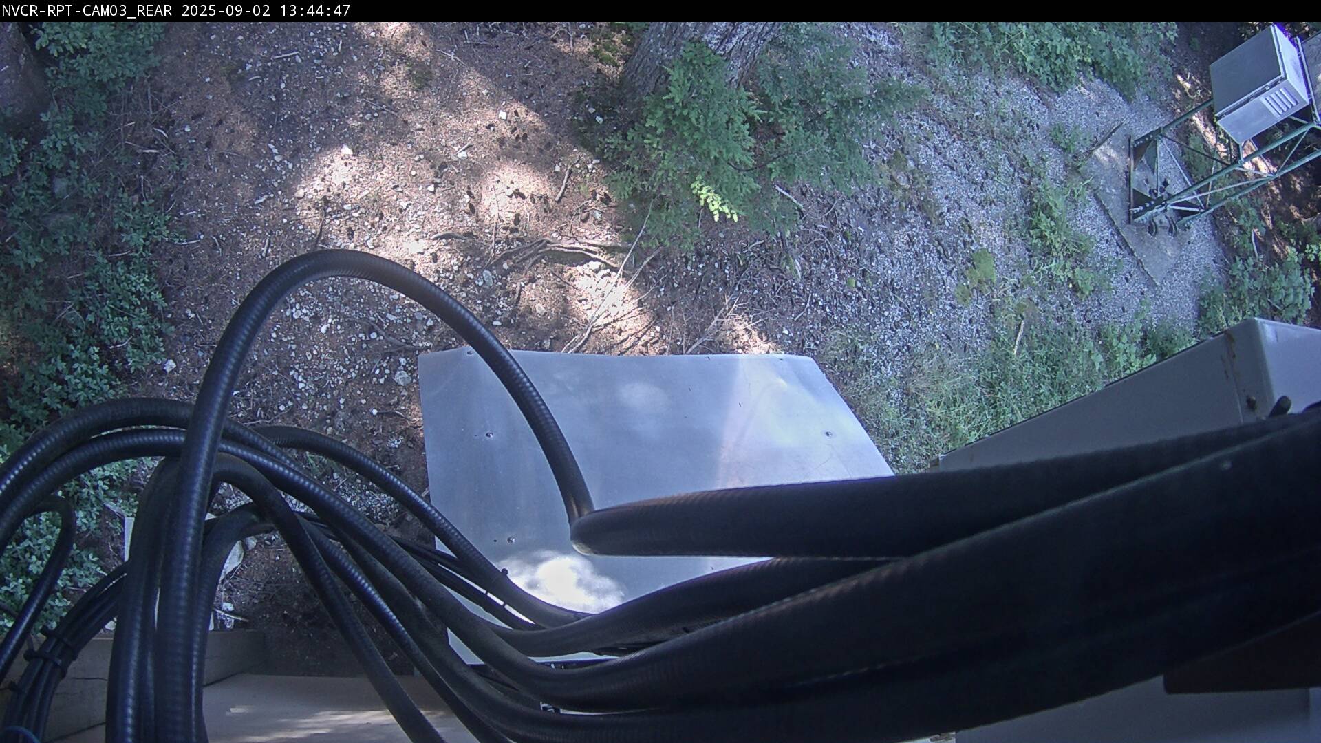 Web Cam History Image - 300