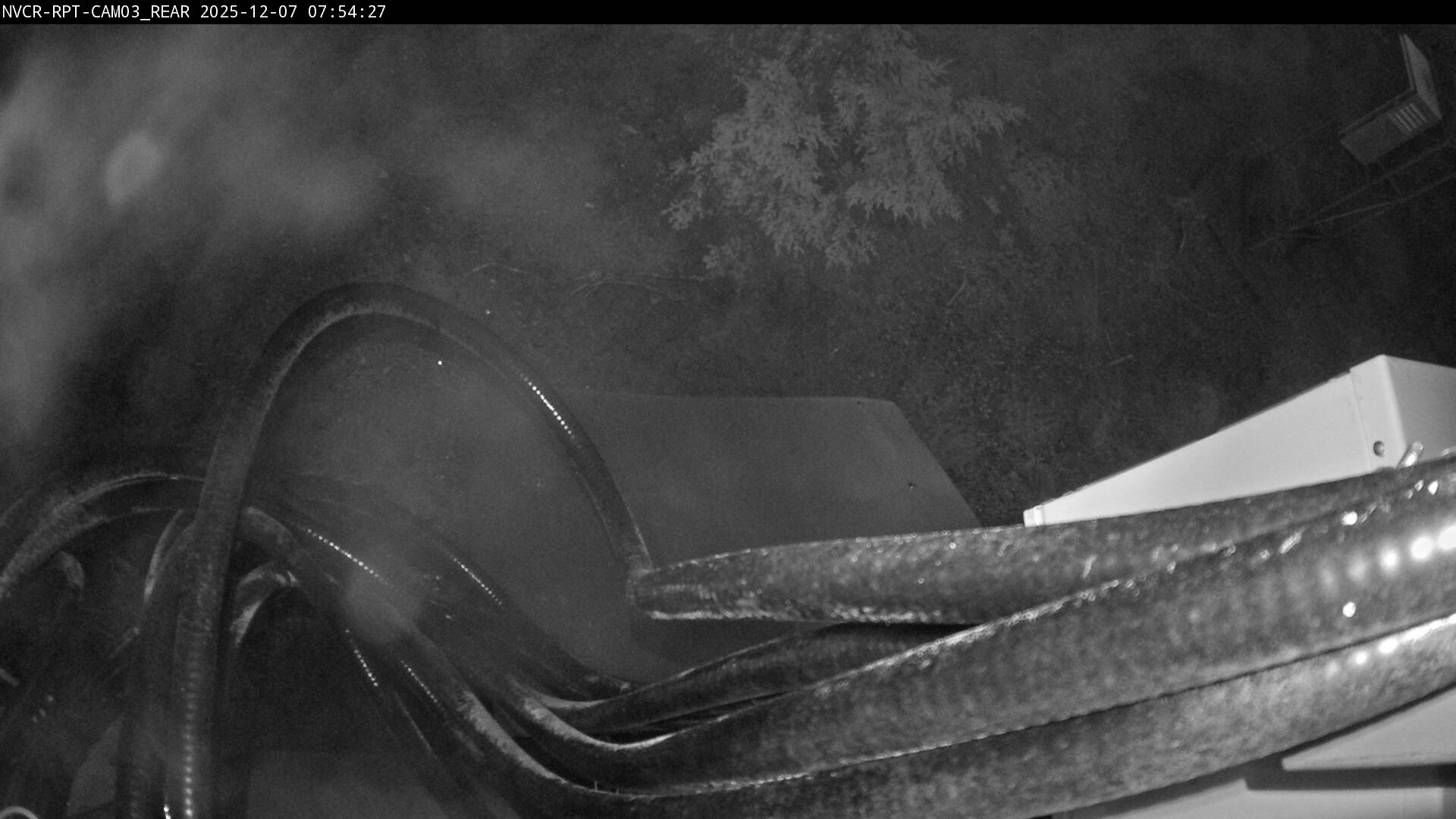 Web Cam History Image - 300