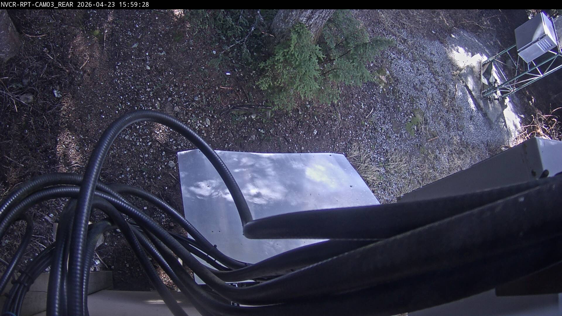 Web Cam History Image - 300