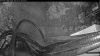 Web Cam Image - Sun, 06/15/2025 9:39pm PDT