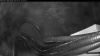 Web Cam Image - Wed, 06/10/2026 2:34am PDT
