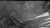 Web Cam Image - Wed, 08/12/2026 5:09am PDT