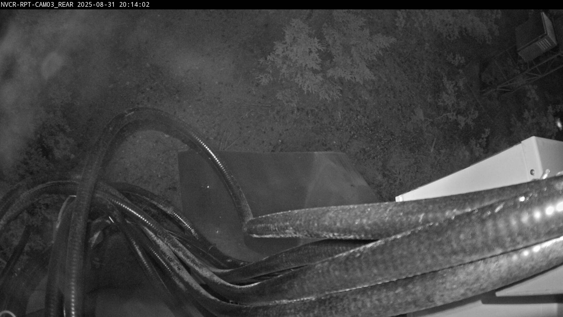 Web Cam History Image - 4