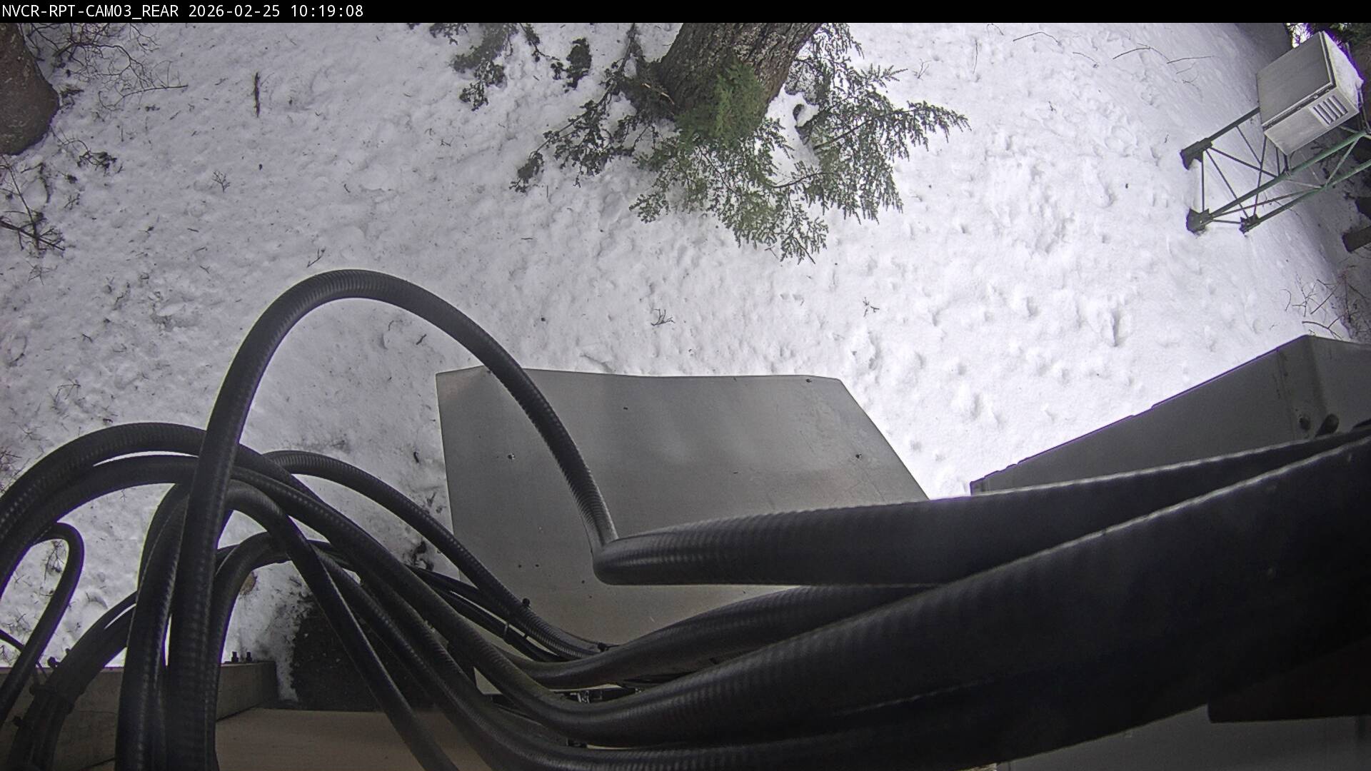 Web Cam History Image - 4