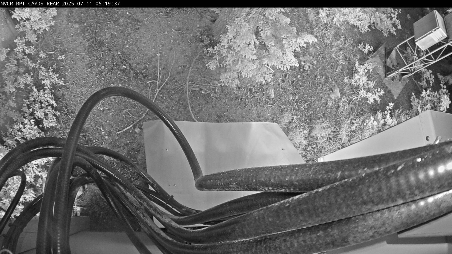Web Cam History Image - 301