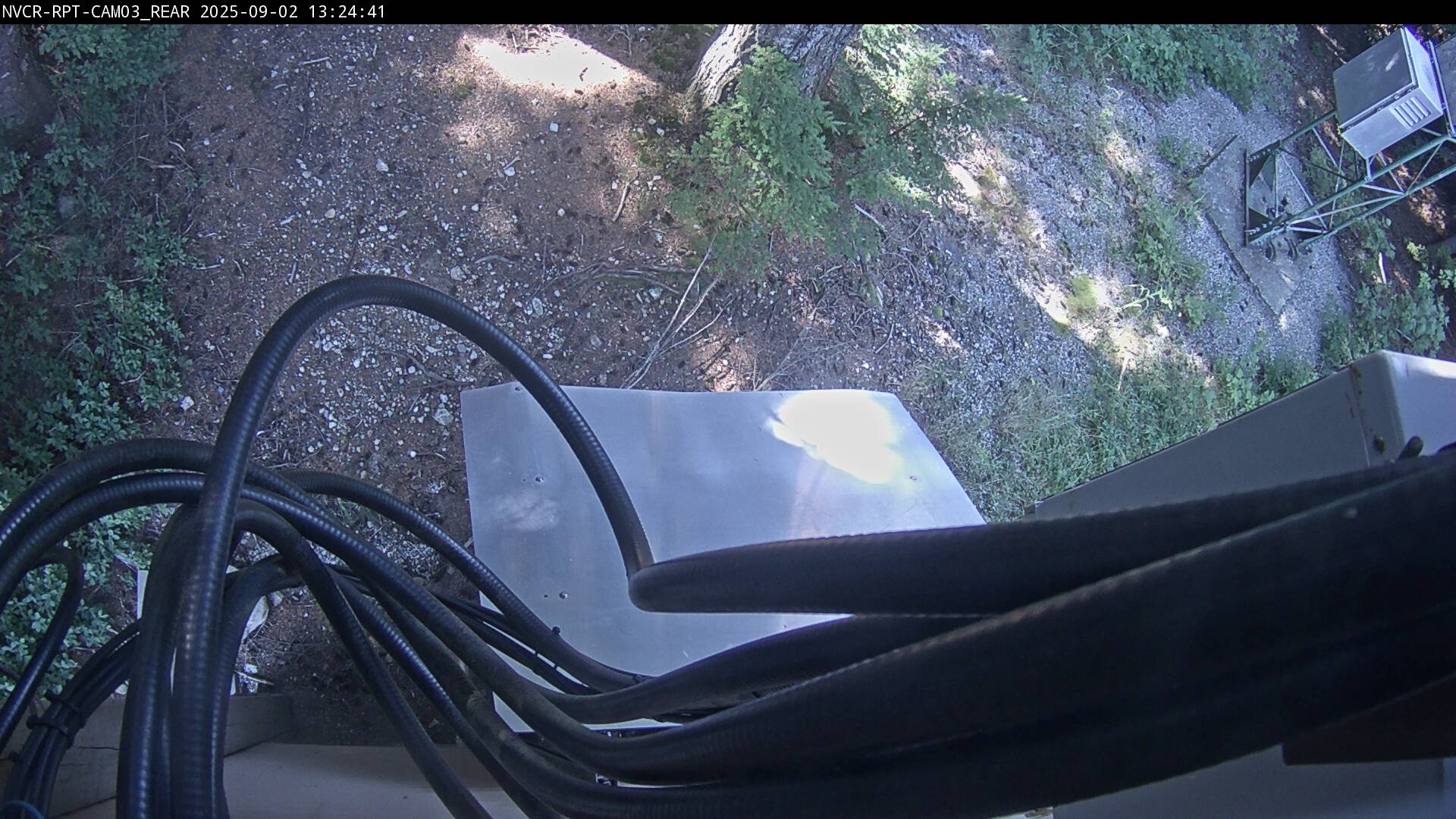 Web Cam History Image - 301