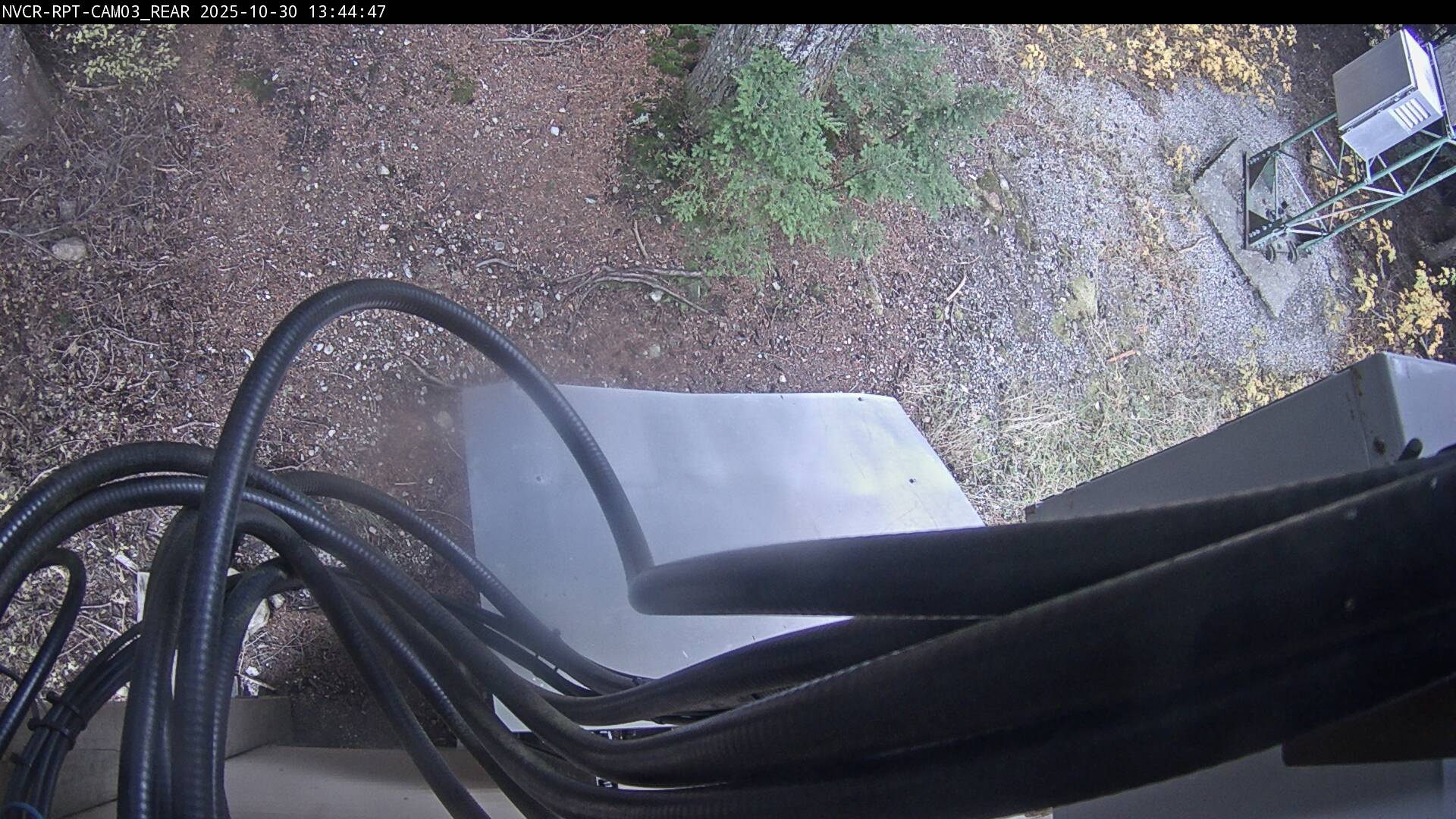 Web Cam History Image - 302