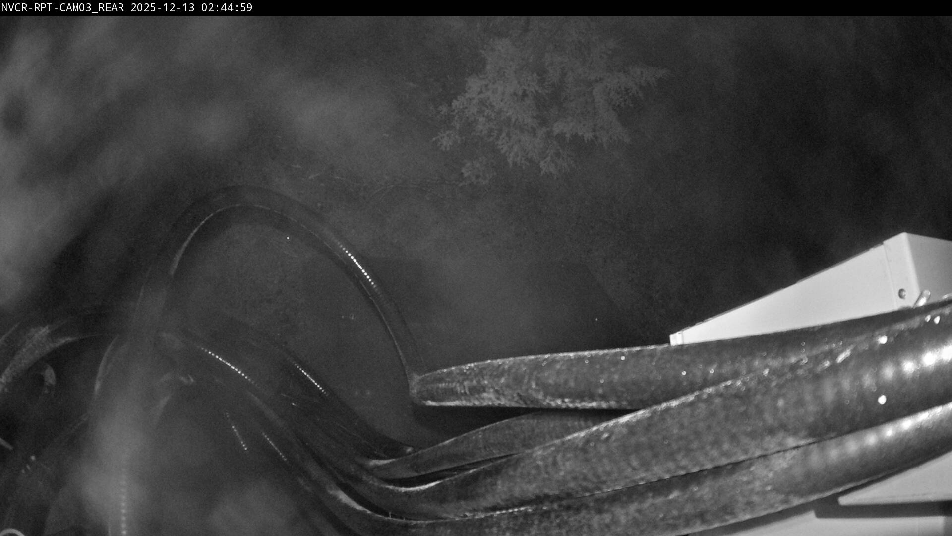 Web Cam History Image - 303