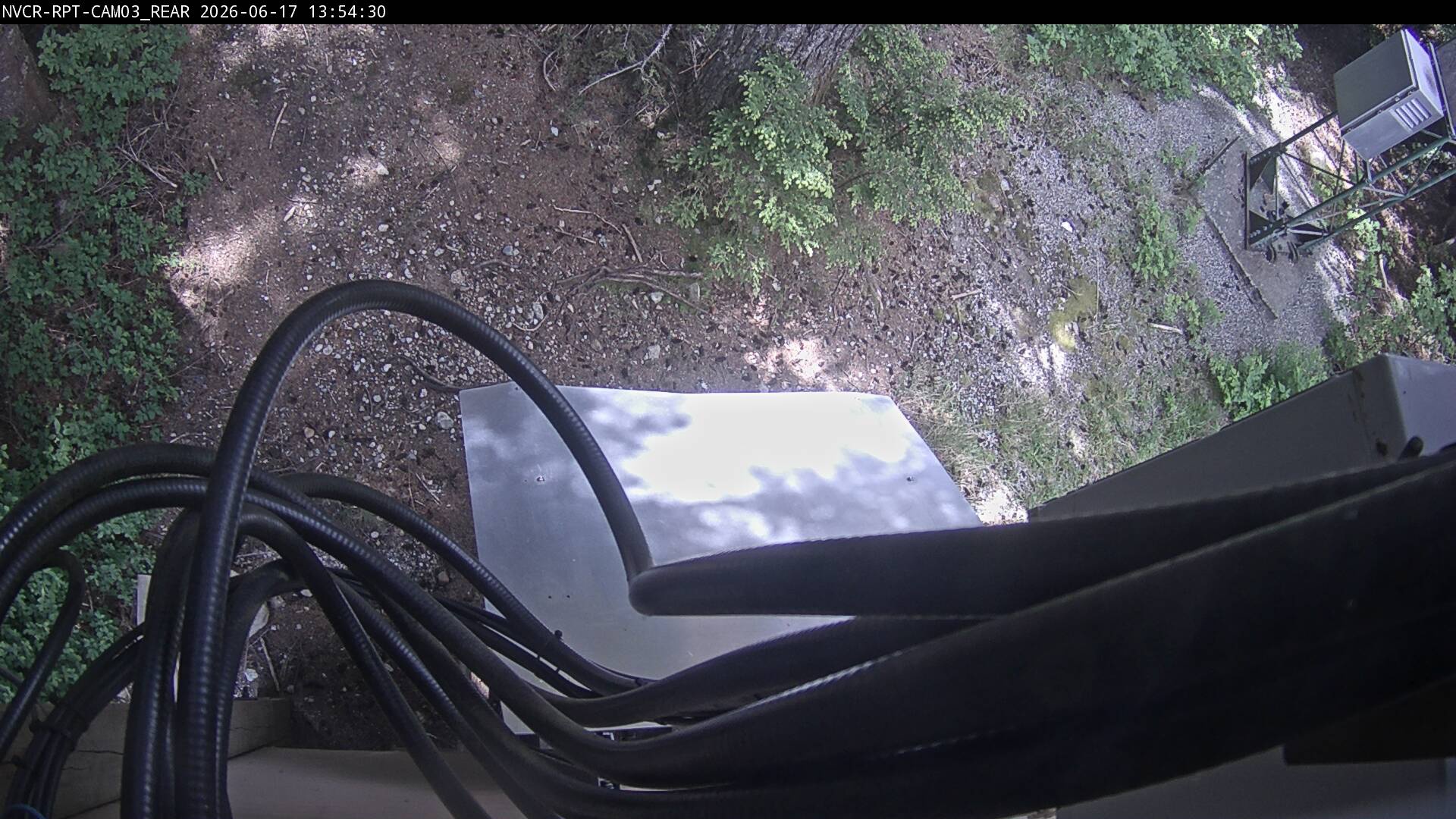 Web Cam History Image - 303