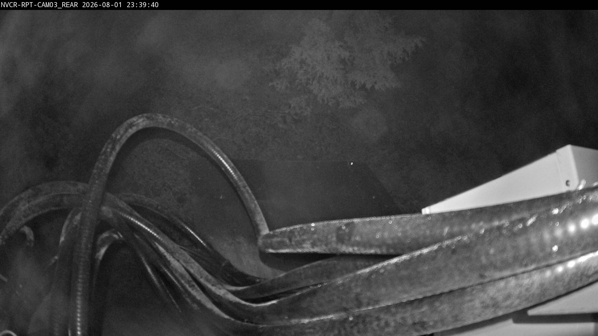Web Cam History Image - 303