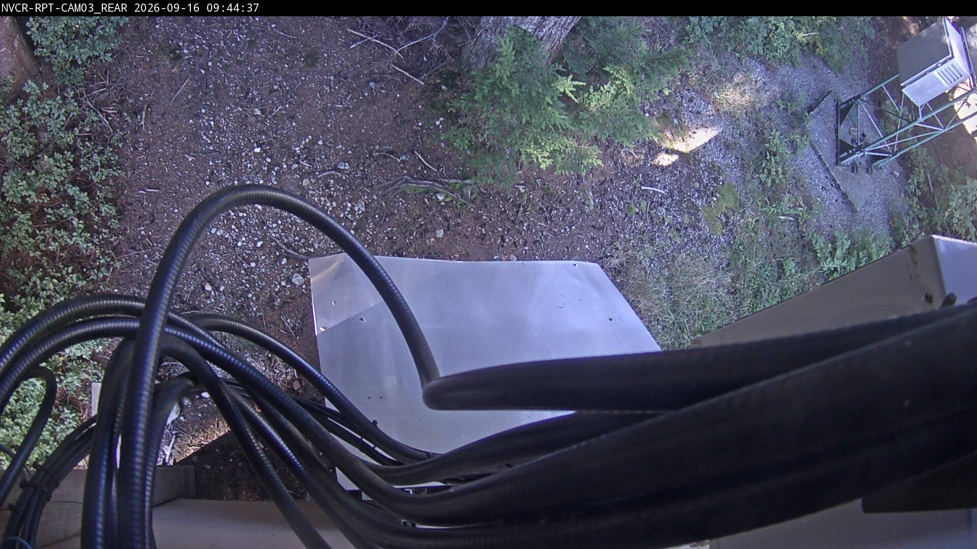 Web Cam History Image - 303