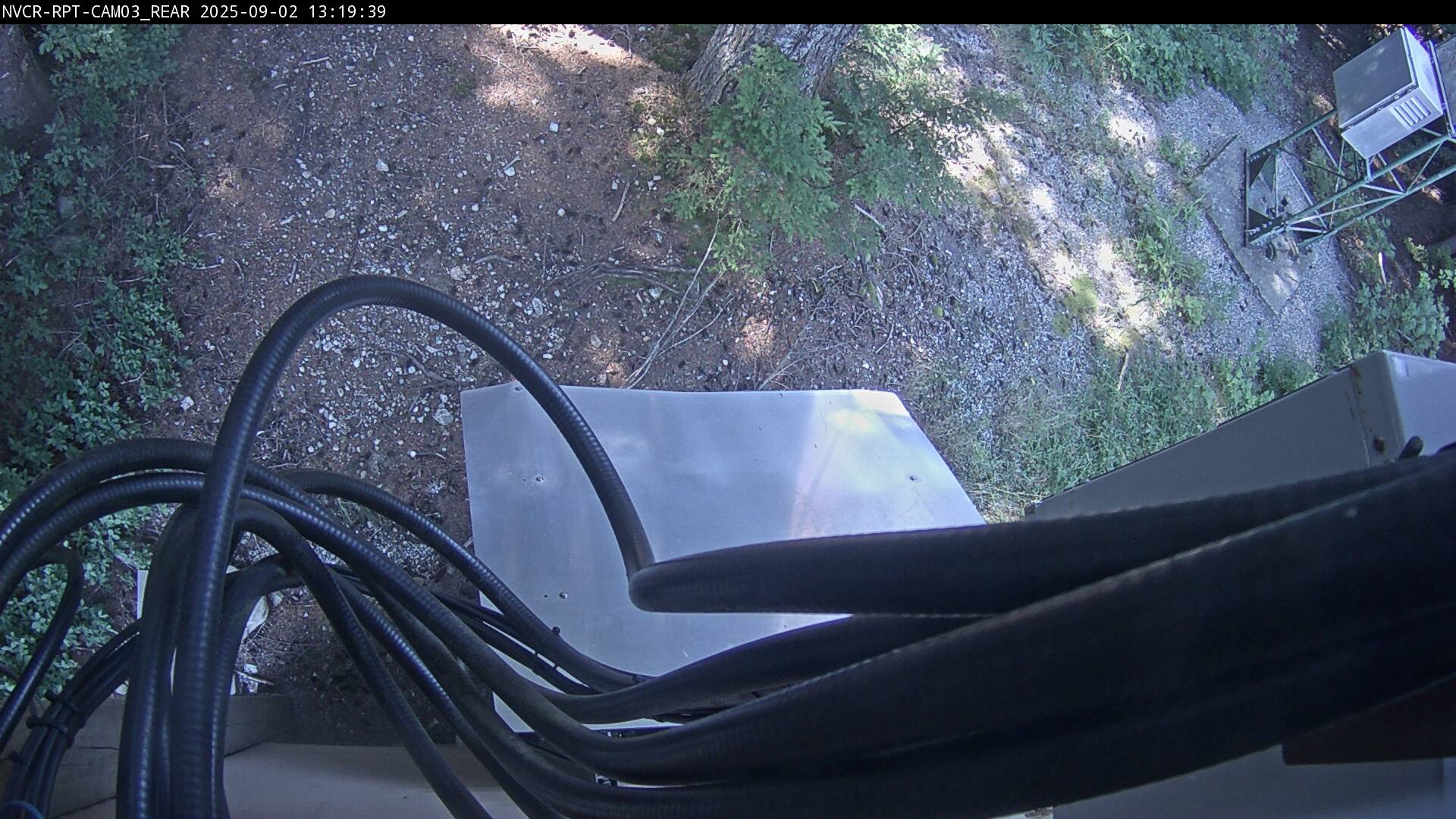 Web Cam History Image - 305