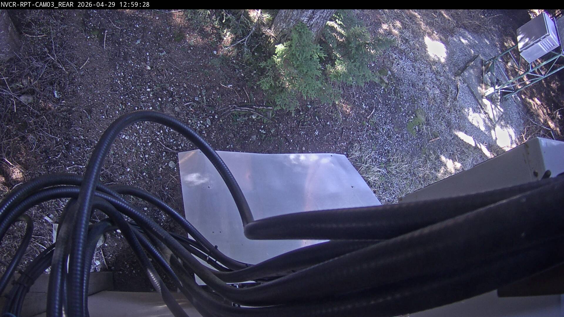 Web Cam History Image - 305