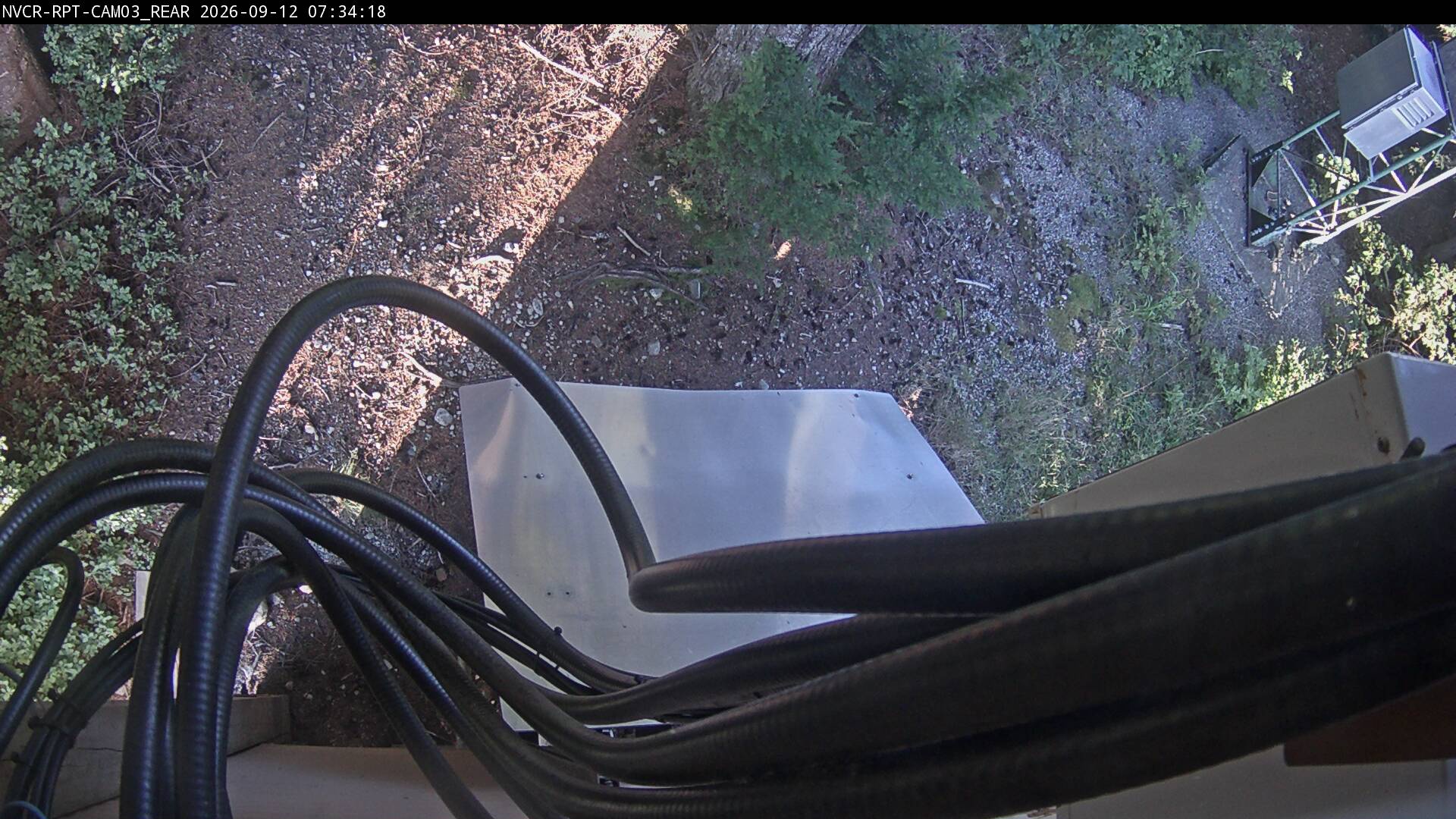 Web Cam History Image - 305