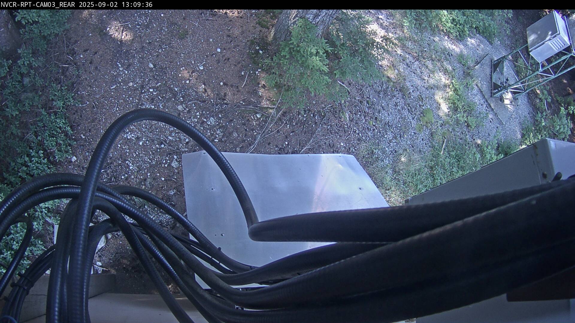Web Cam History Image - 306