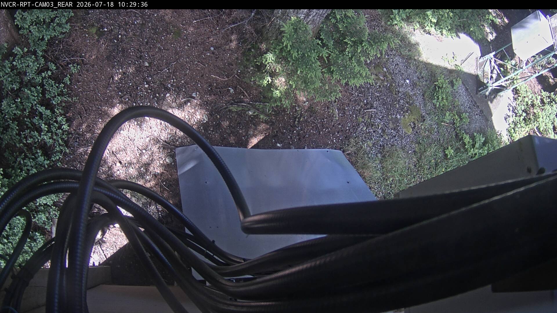 Web Cam History Image - 306