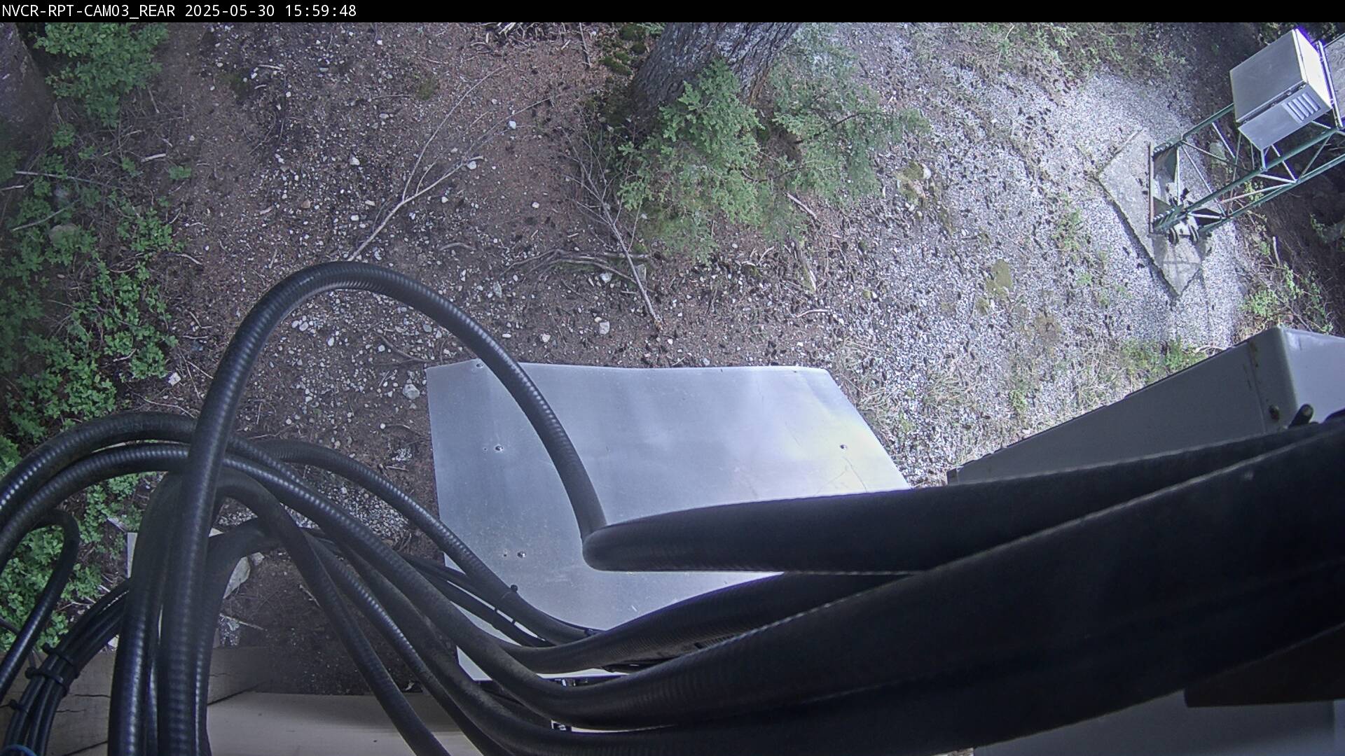 Web Cam History Image - 307