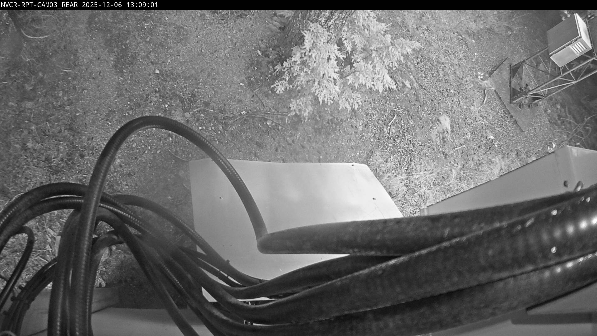 Web Cam History Image - 307