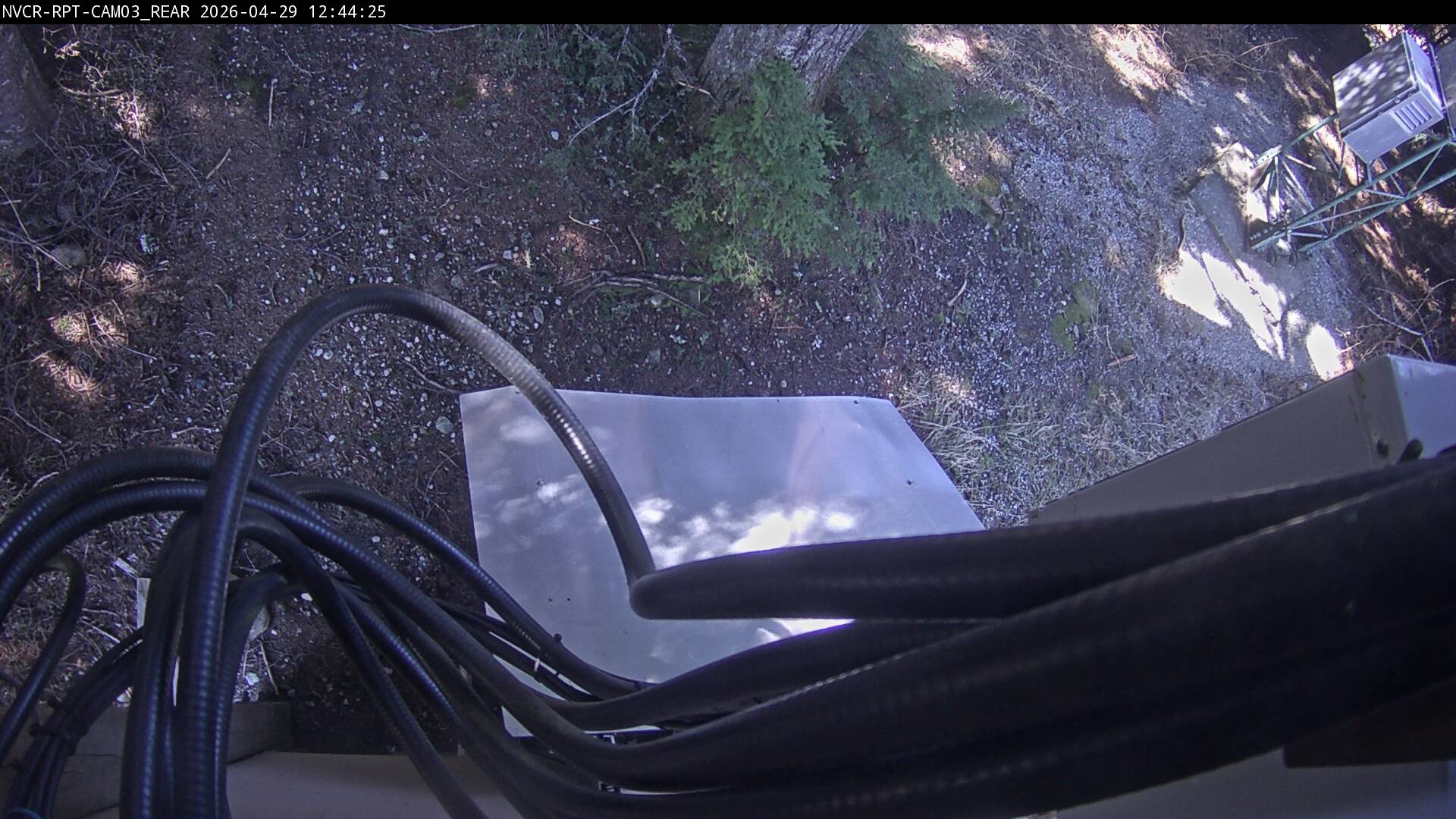 Web Cam History Image - 307